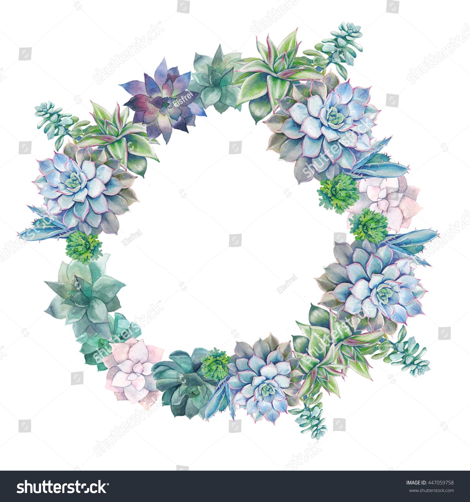 succulent clipart round