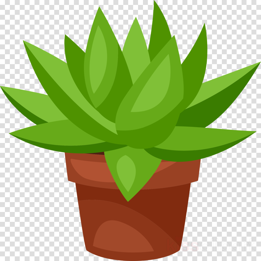 Succulent Clipart Simple Succulent Simple Transparent FREE For