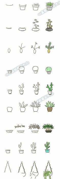  best drawings images. Succulent clipart simple