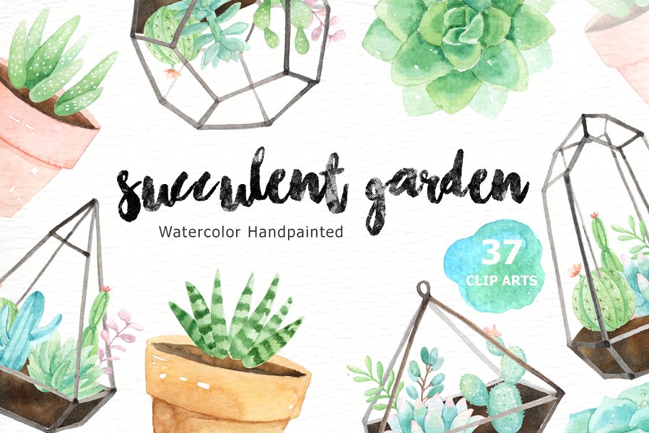 succulent clipart succulent garden