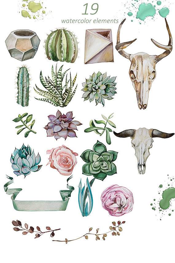 Succulent clipart succulent garden. Watercolor wild set handpainted
