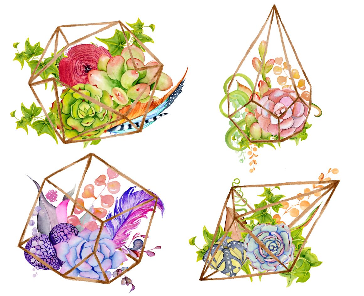Succulent clipart succulent terrarium. Watercolor succulents and cactus