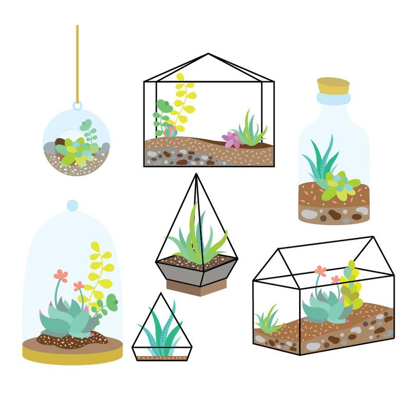 succulent clipart succulent terrarium