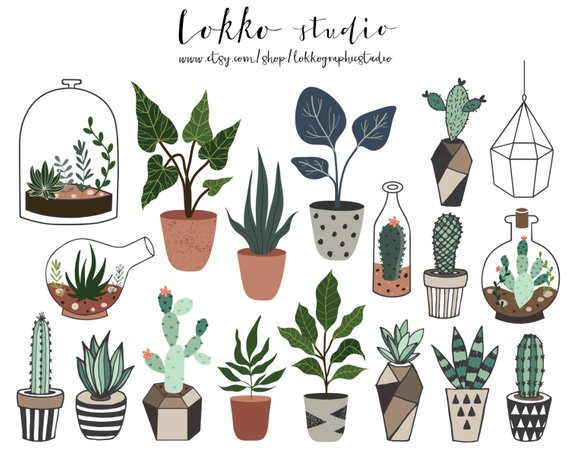 Succulent clipart succulent terrarium. Cactus cacti png 
