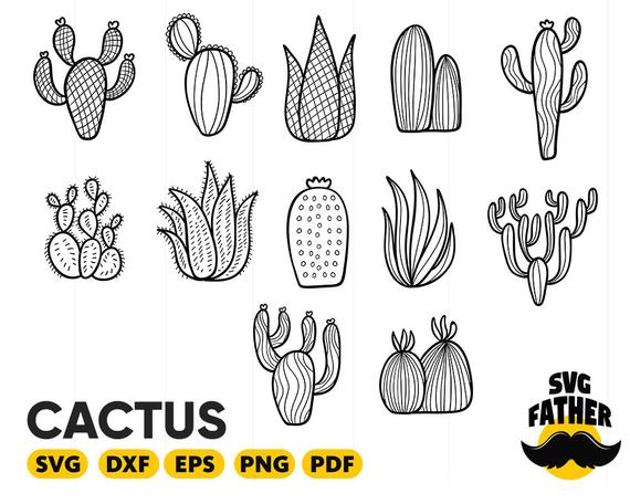 Succulent clipart svg, Picture #3179125 succulent clipart svg