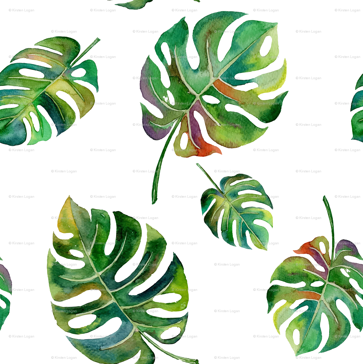 succulent clipart tropical