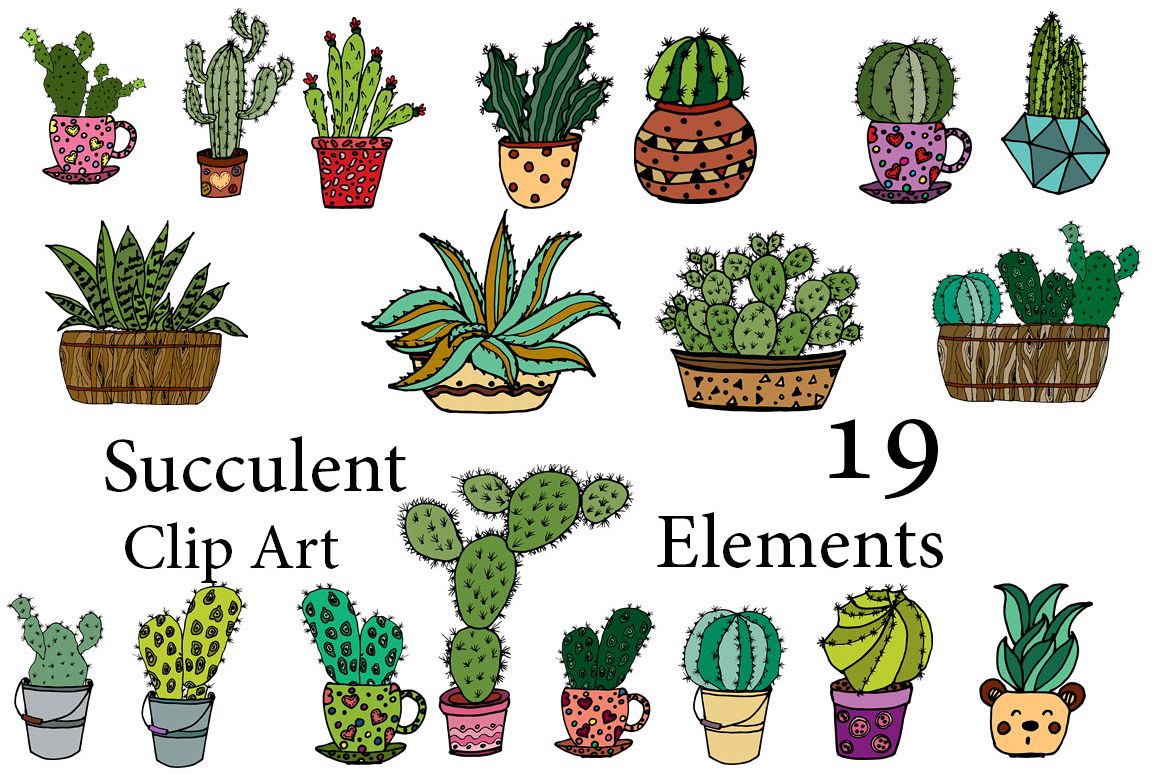 succulent clipart vector