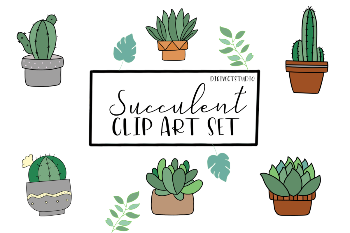 succulent clipart vector