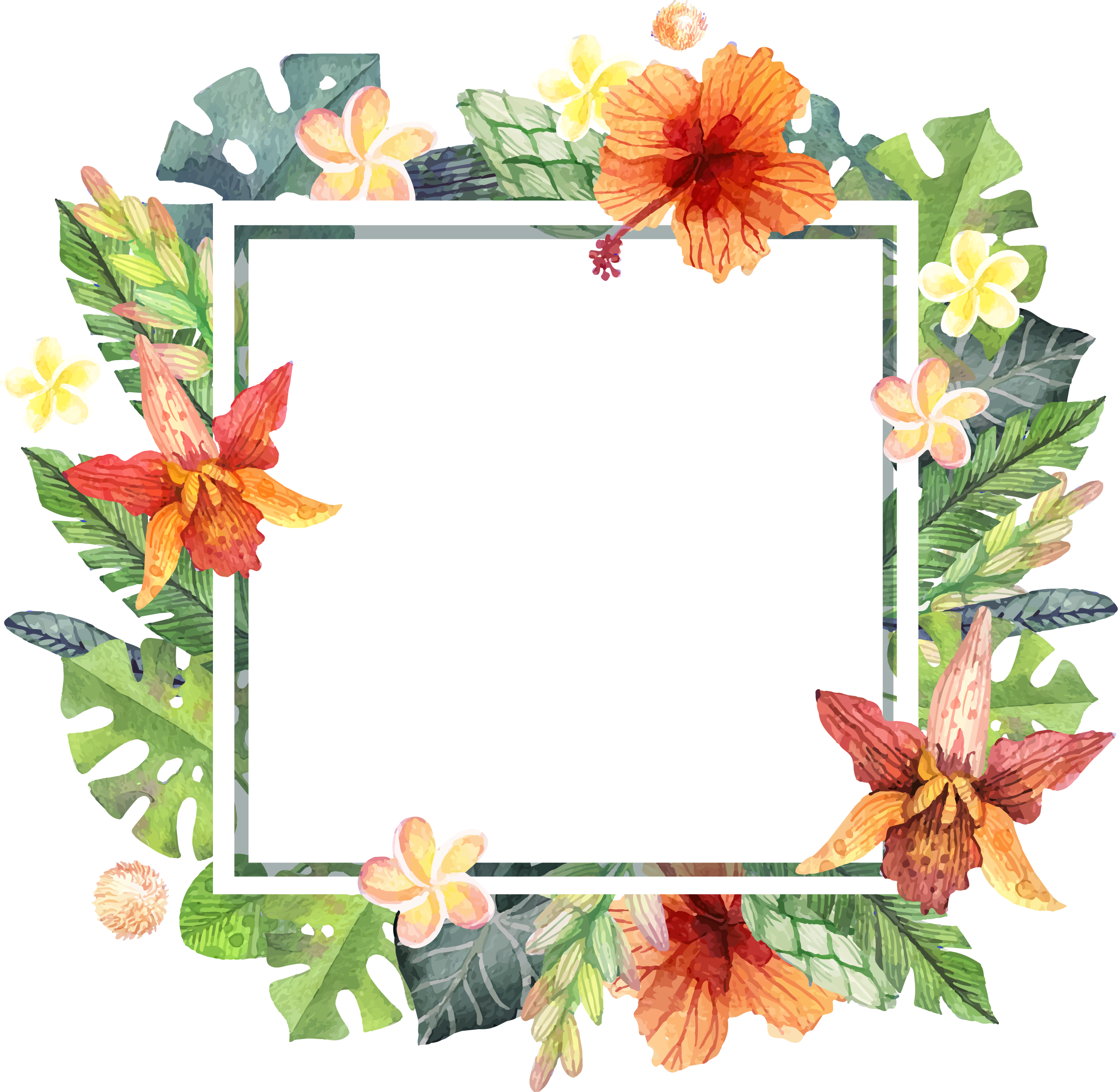 Summer border png, Summer border png Transparent FREE for download on ...