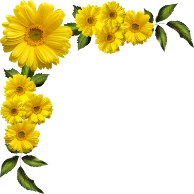 Sunflower border png.  yellow flower for