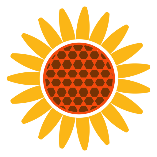 Download Sunflower vector png, Sunflower vector png Transparent ...
