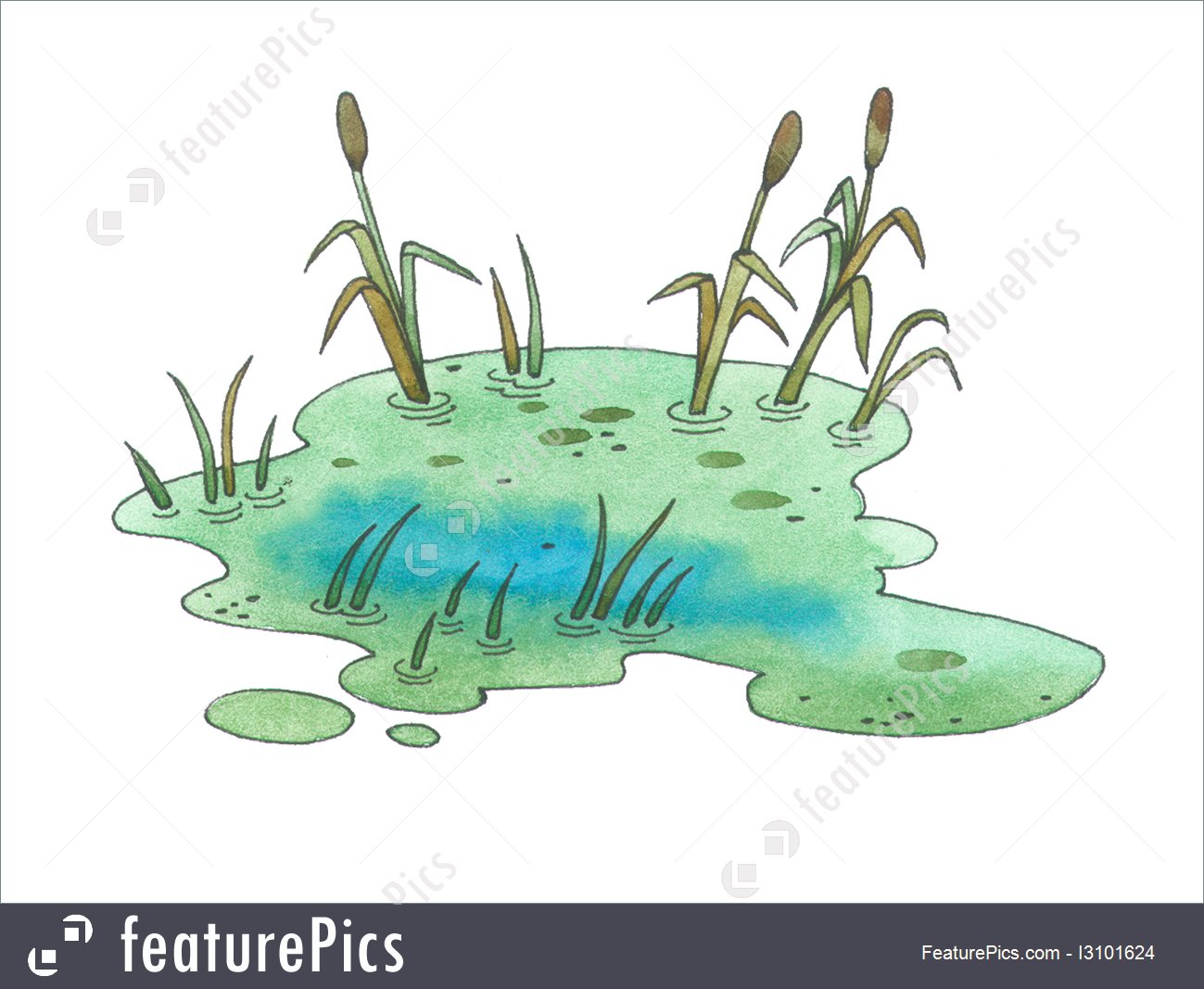 swamp clipart