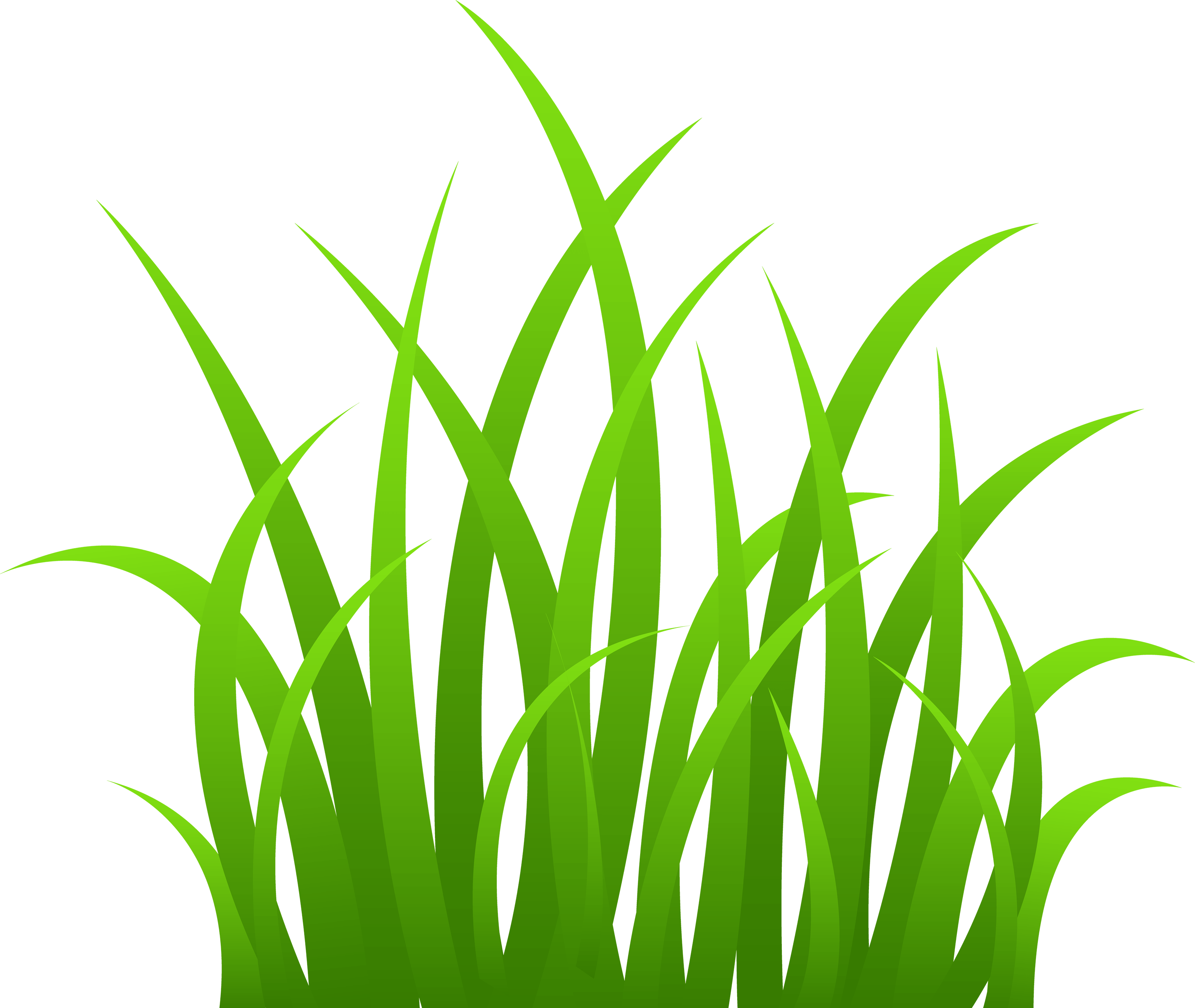 Swamp turf pencil and. Daisy clipart high grass