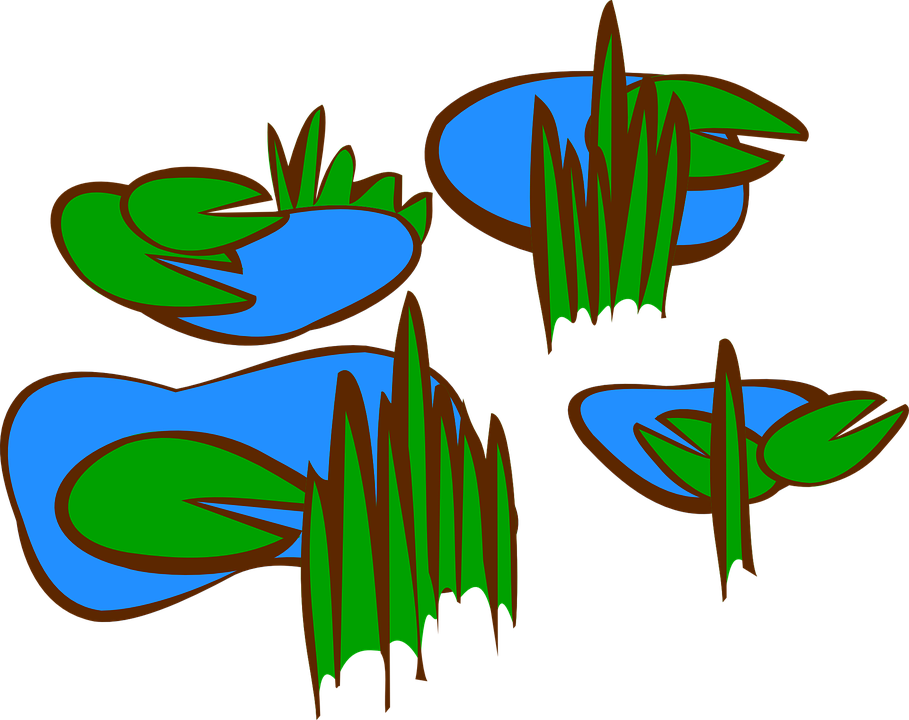 swamp clipart aquatic plant