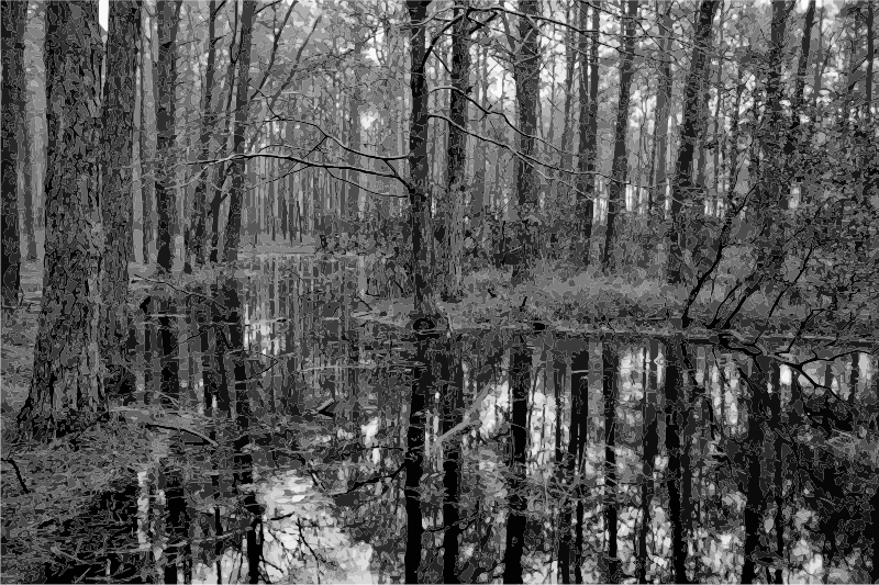 swamp clipart black and white