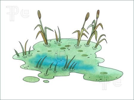 swamp clipart clip art