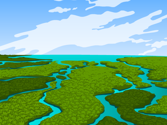 swamp clipart freshwater biome
