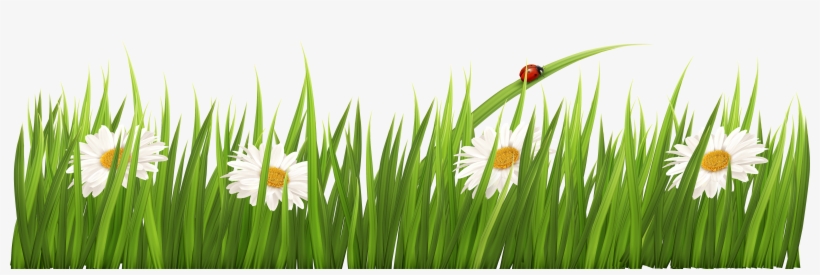 swamp clipart grass clipping