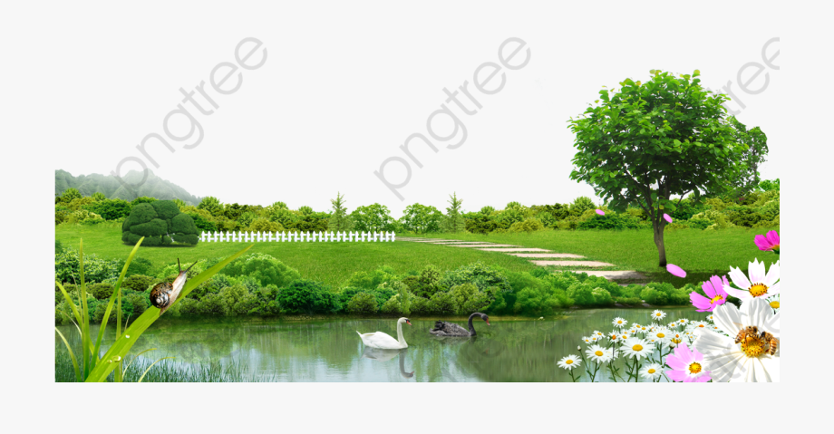 swamp clipart grassy meadow
