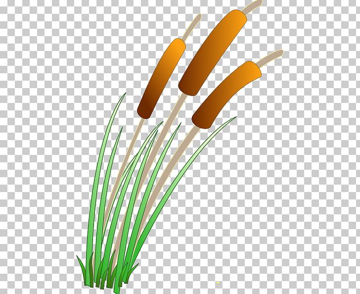 swamp clipart leave grass