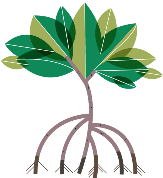 swamp clipart mangrove forest