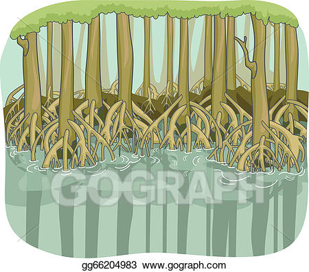 Swamp clipart mangrove forest. Vector illustration 