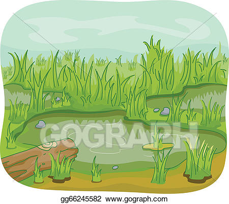 Swamp clipart muddy swamp. Vector illustration wetlands stock