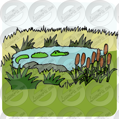 swamp clipart outdoors