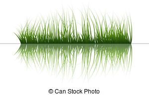 swamp clipart outdoors
