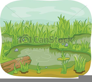 swamp clipart pond