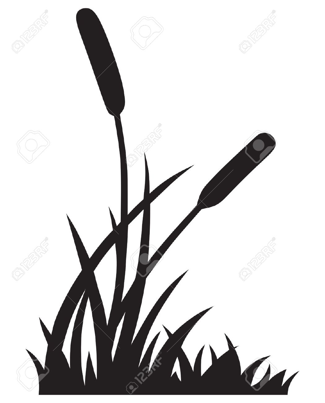 swamp clipart pond reed
