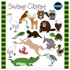 swamp clipart swamp animal