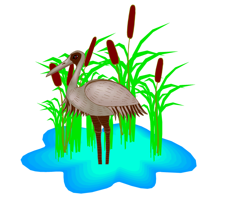 swamp clipart swamp scene