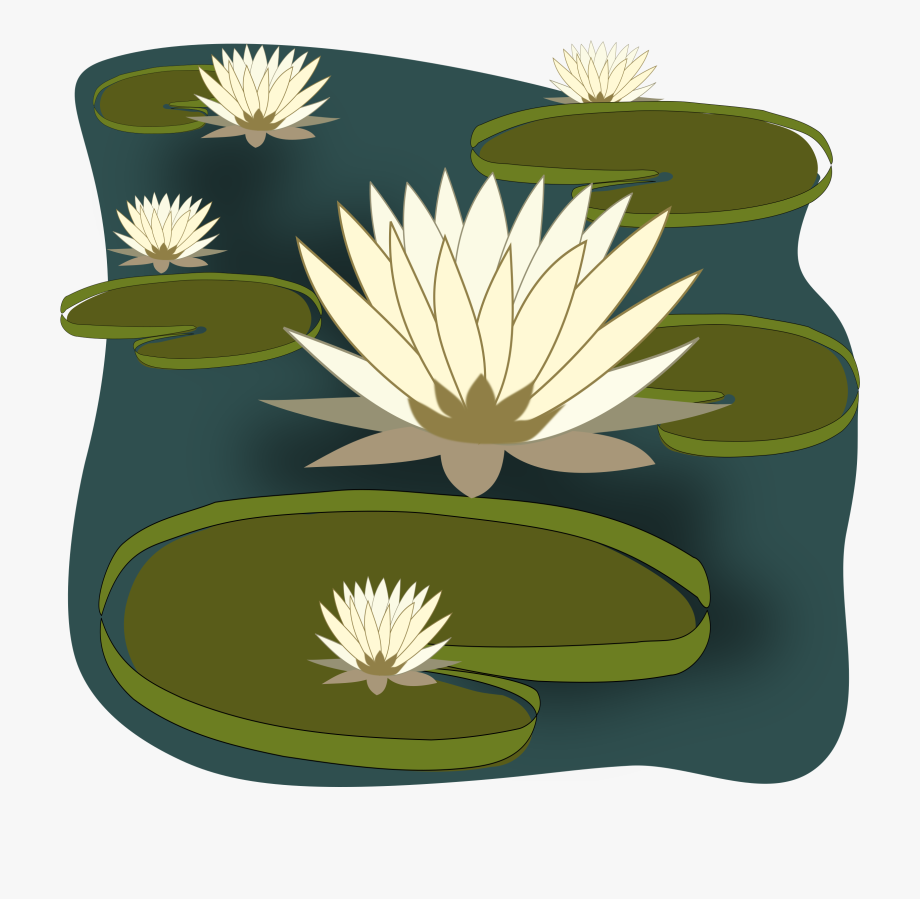 swamp clipart water lily pond