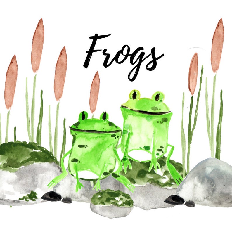 Swamp clipart watercolor. Frog animal graphics cat