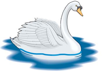 swan clipart