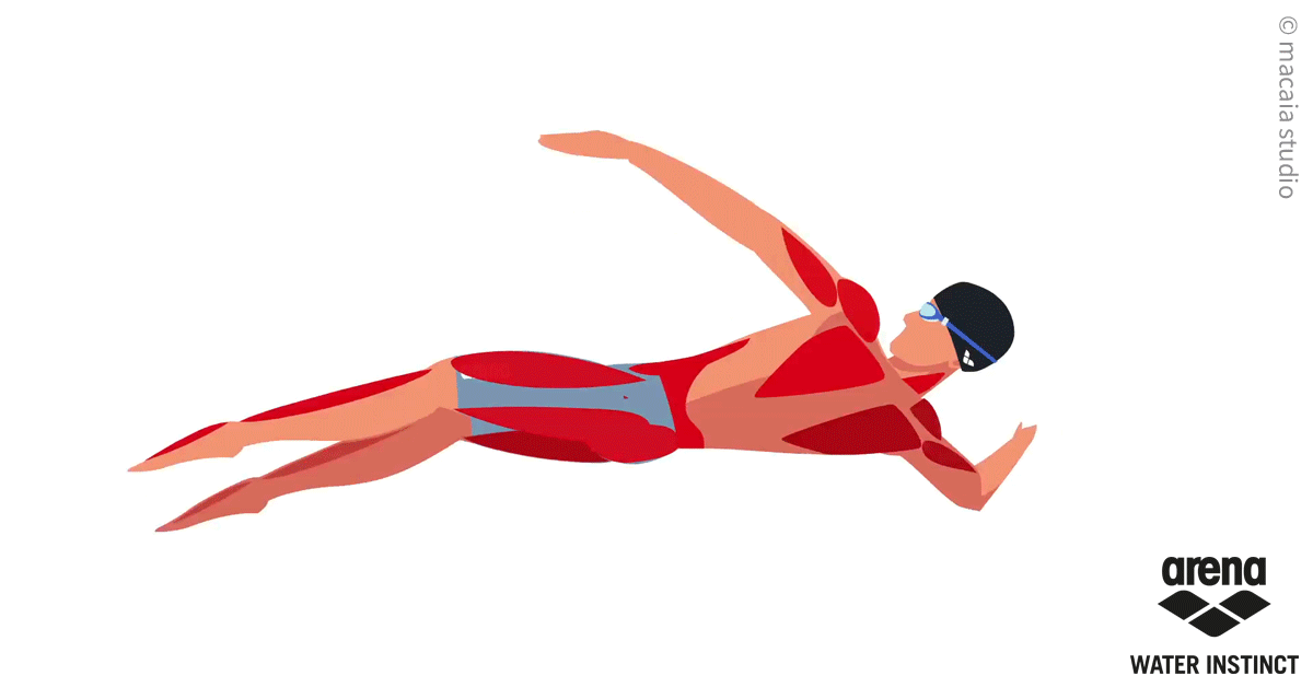 swimmer clipart physical health