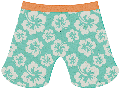 swimsuit clipart shorts hawaiian