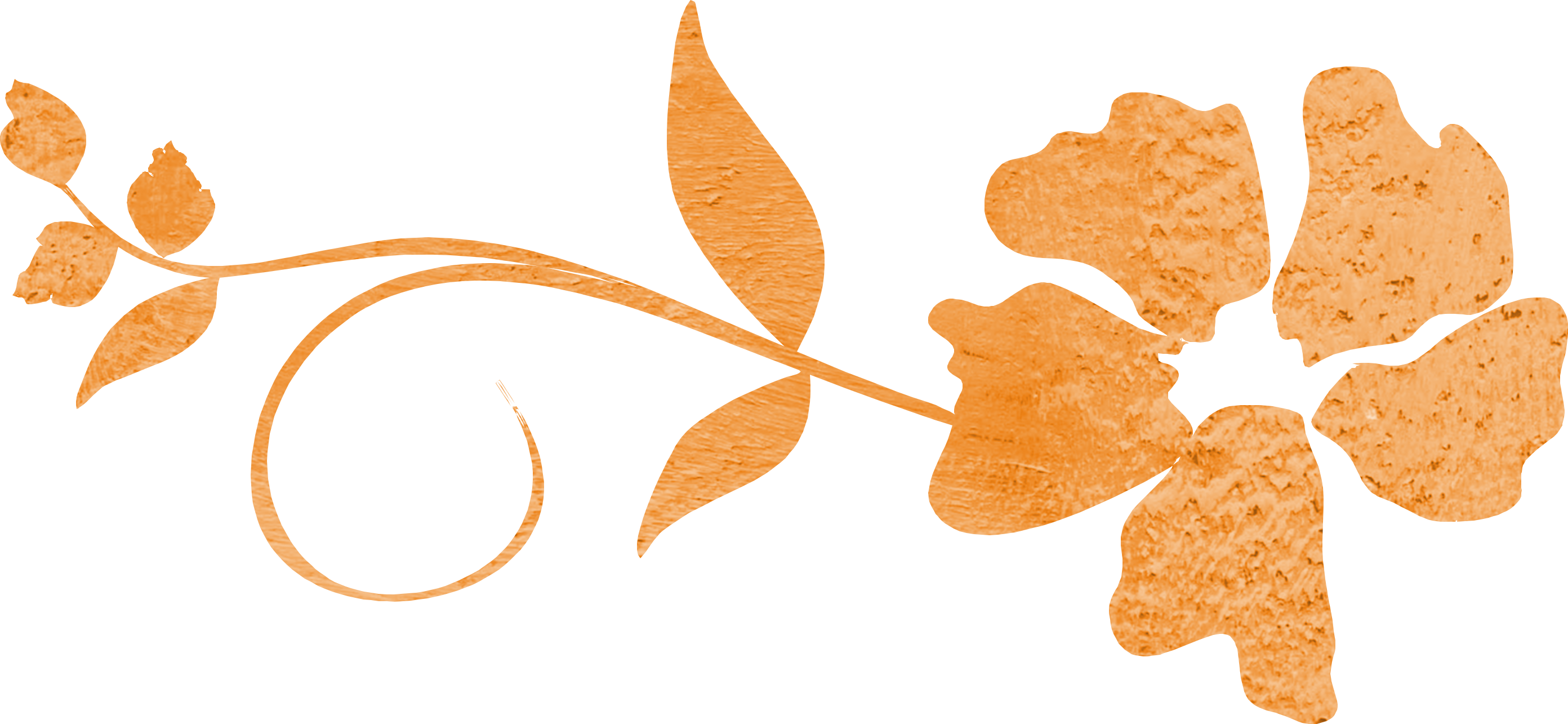 Swirl clipart flower. Vector orange free image