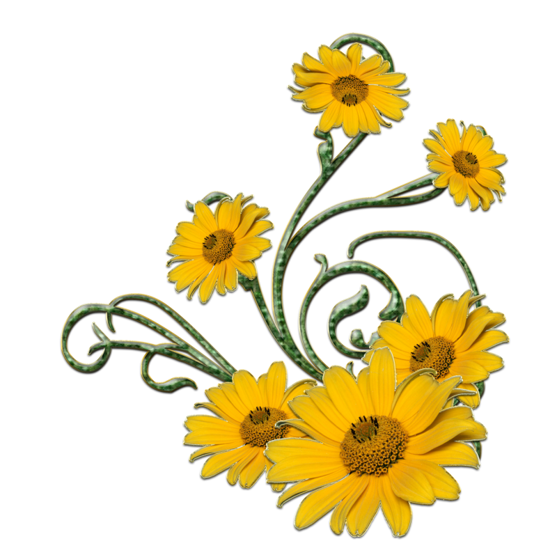 swirl clipart sunflower