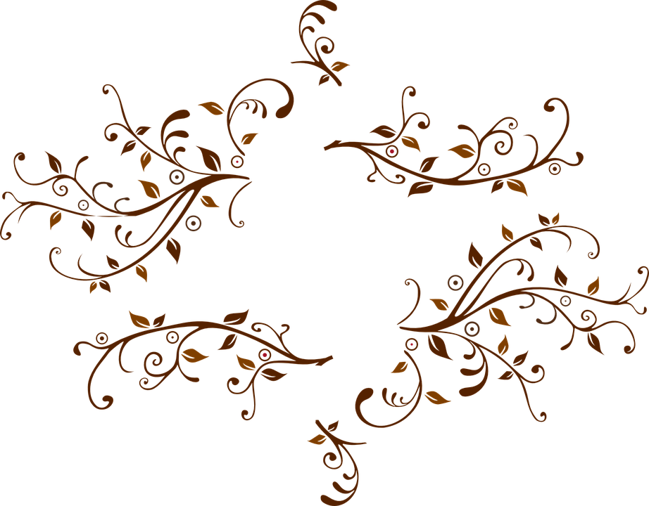 Floral shop of library. Swirl clipart vine