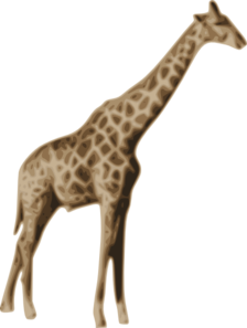 tall clipart colorful giraffe
