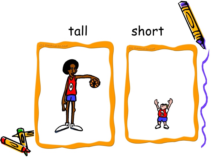 tall clipart comparative