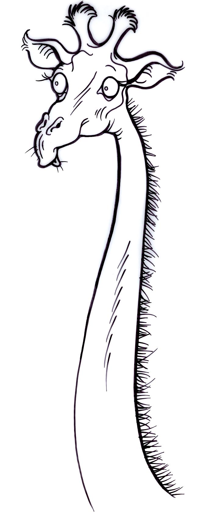 tall clipart neck