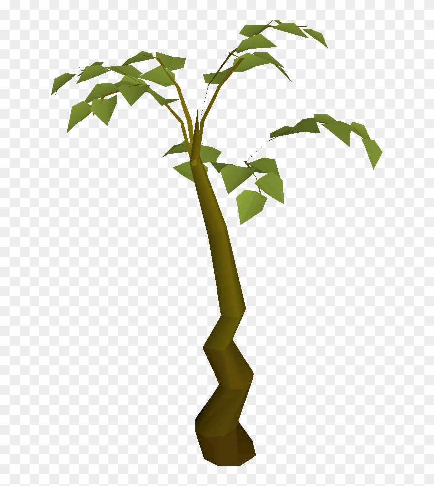 tall clipart tall plant