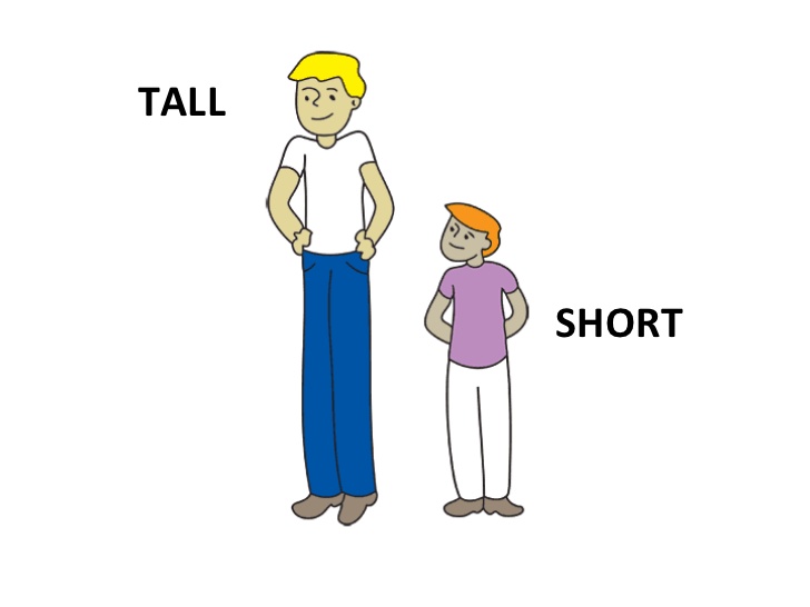 tall clipart two