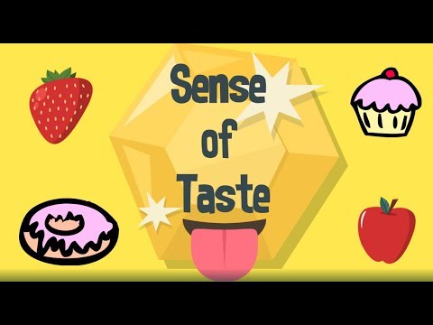 Sense of . Taste clipart sence