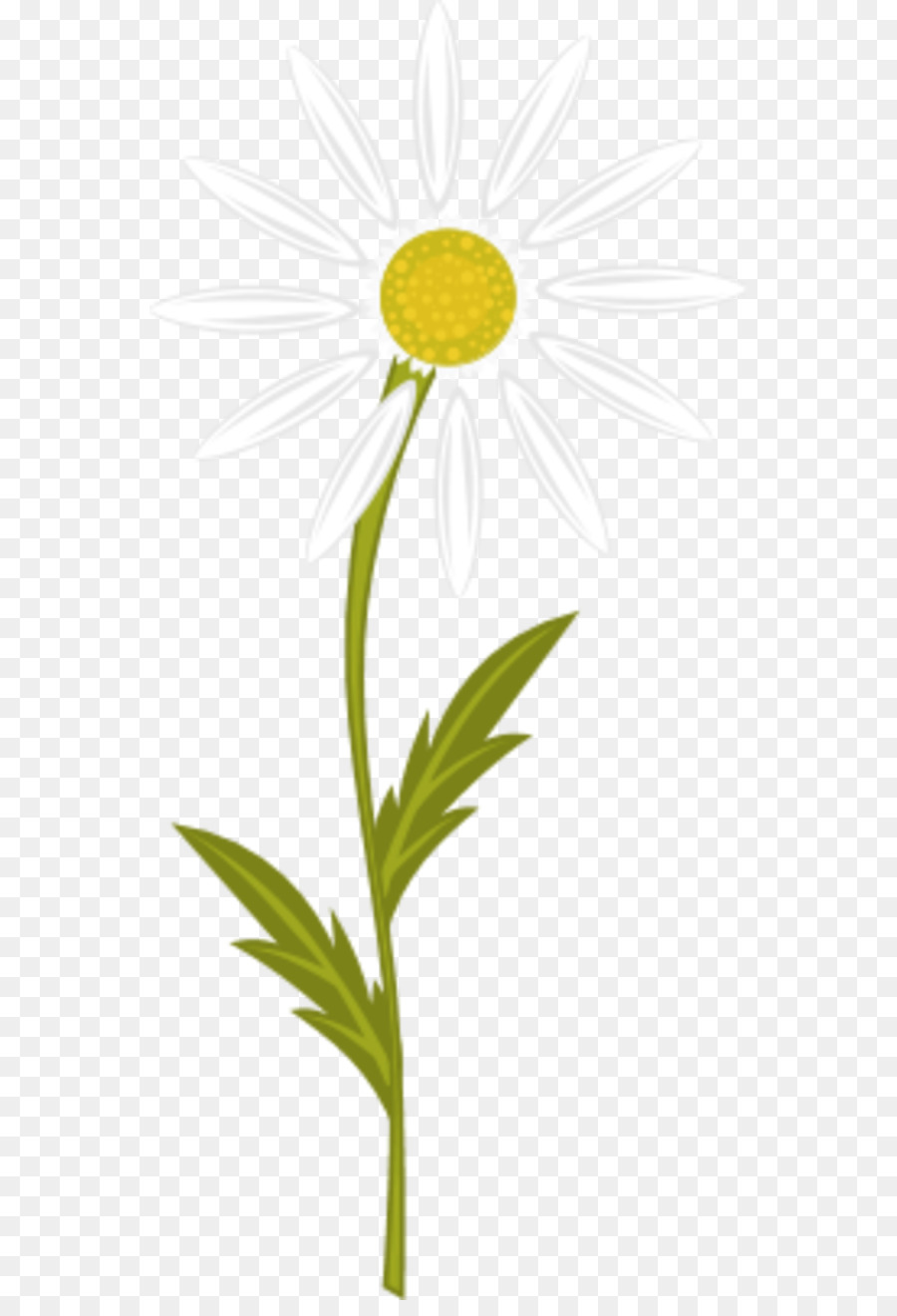 Tea clipart chamomile tea, Tea chamomile tea Transparent FREE for ...