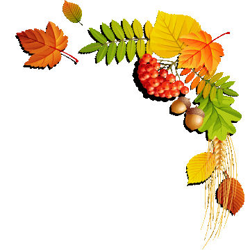 Thanksgiving border png.  collection of corner