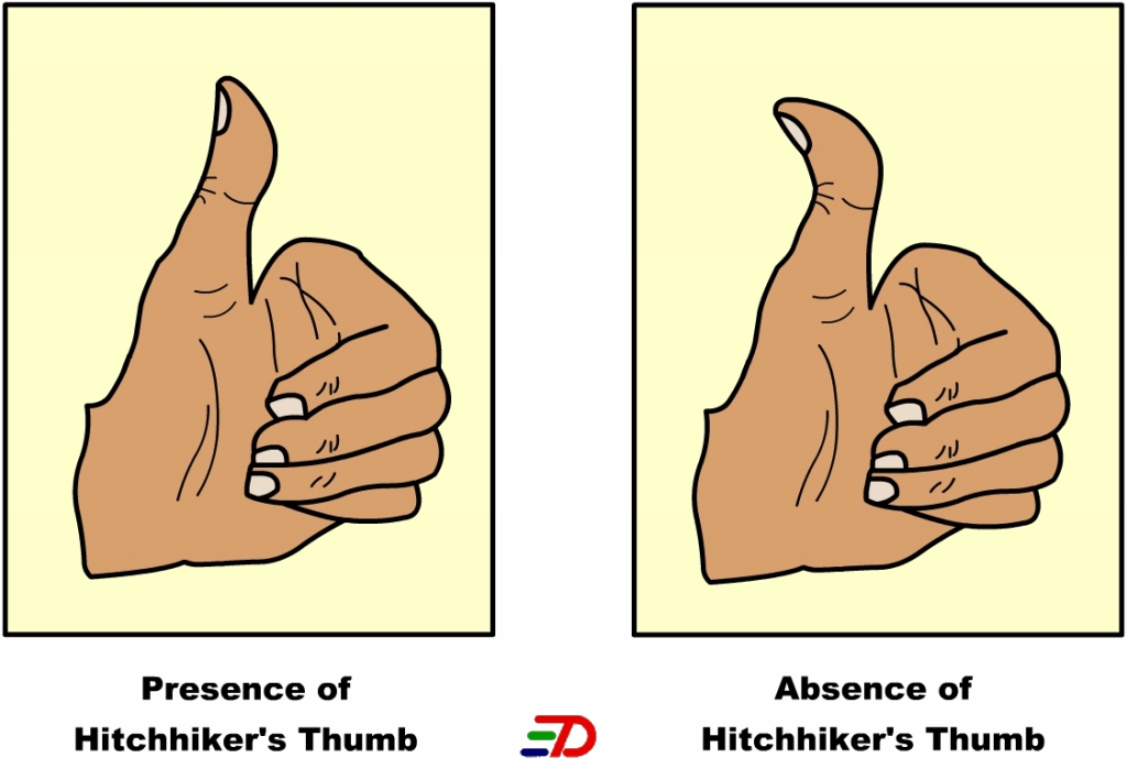 thumb clipart hitchhiker thumb